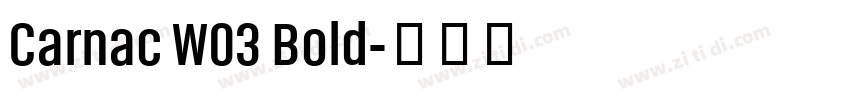 Carnac W03 Bold字体转换
